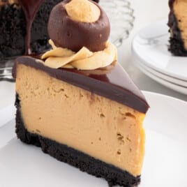 Buckeye Cheesecake